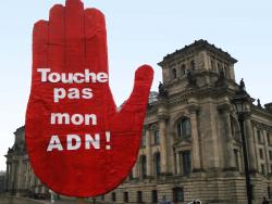Touche pas DNA 21_01_09
